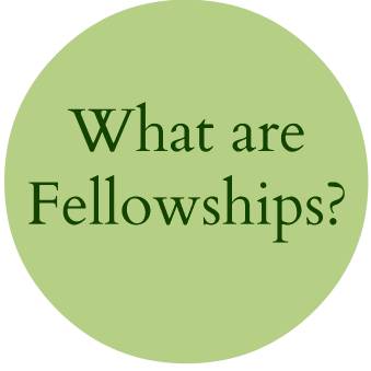What are fellowships